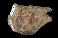 矽化安山岩藏品圖，第4張
